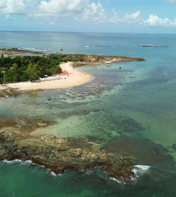 Ilha de Santo Aleixo - Paisagem